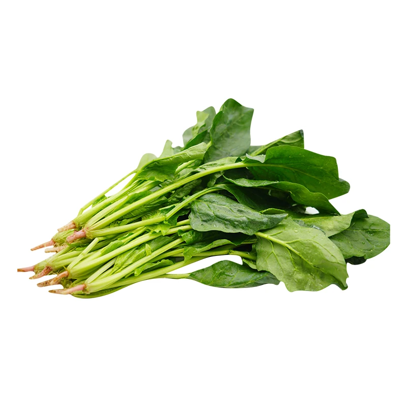 有机菠菜苗 约250g/袋