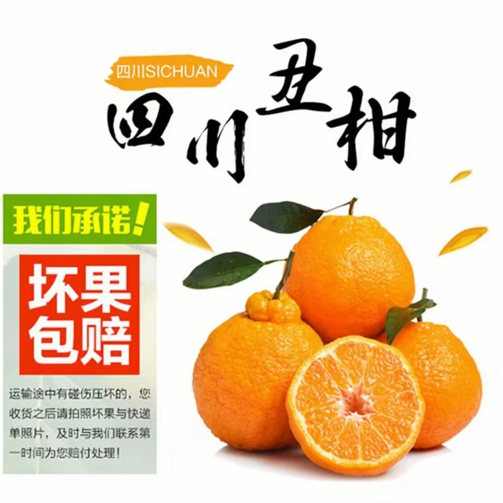 正宗四川眉山丑柑不知火好吃爽口精选现摘现发