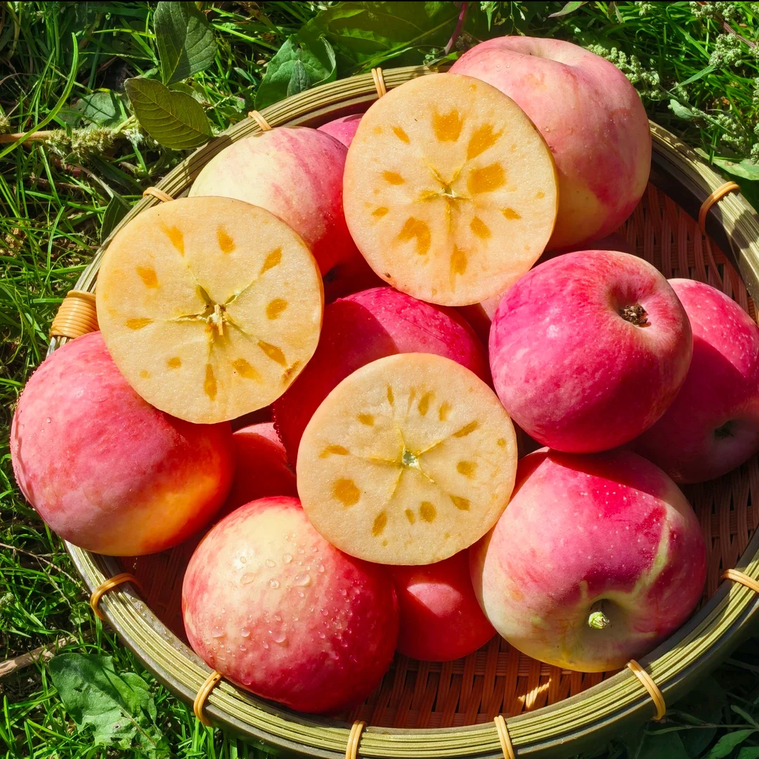 【阿克苏直发】新疆阿克苏冰糖心红富士苹果5斤