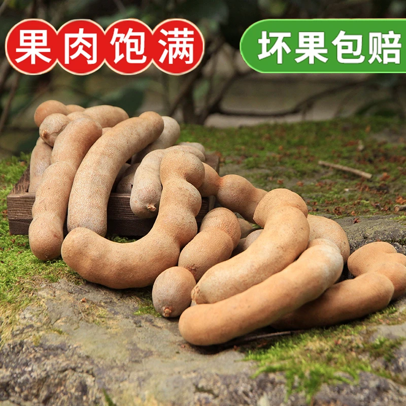 【新客福利】云南特产酸甜角蜜饯罗望子新鲜大甜角孕妇零食