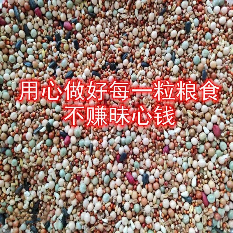 40斤鸽子粮无玉米鸽粮饲料成鸽幼鸽包邮20斤信鸽粮食50斤保健砂