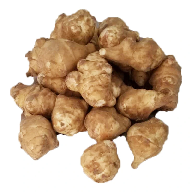 洋姜新鲜现挖旱田生吃姜菊芋当季水果姜不辣2斤5斤泡菜凉拌洋生姜