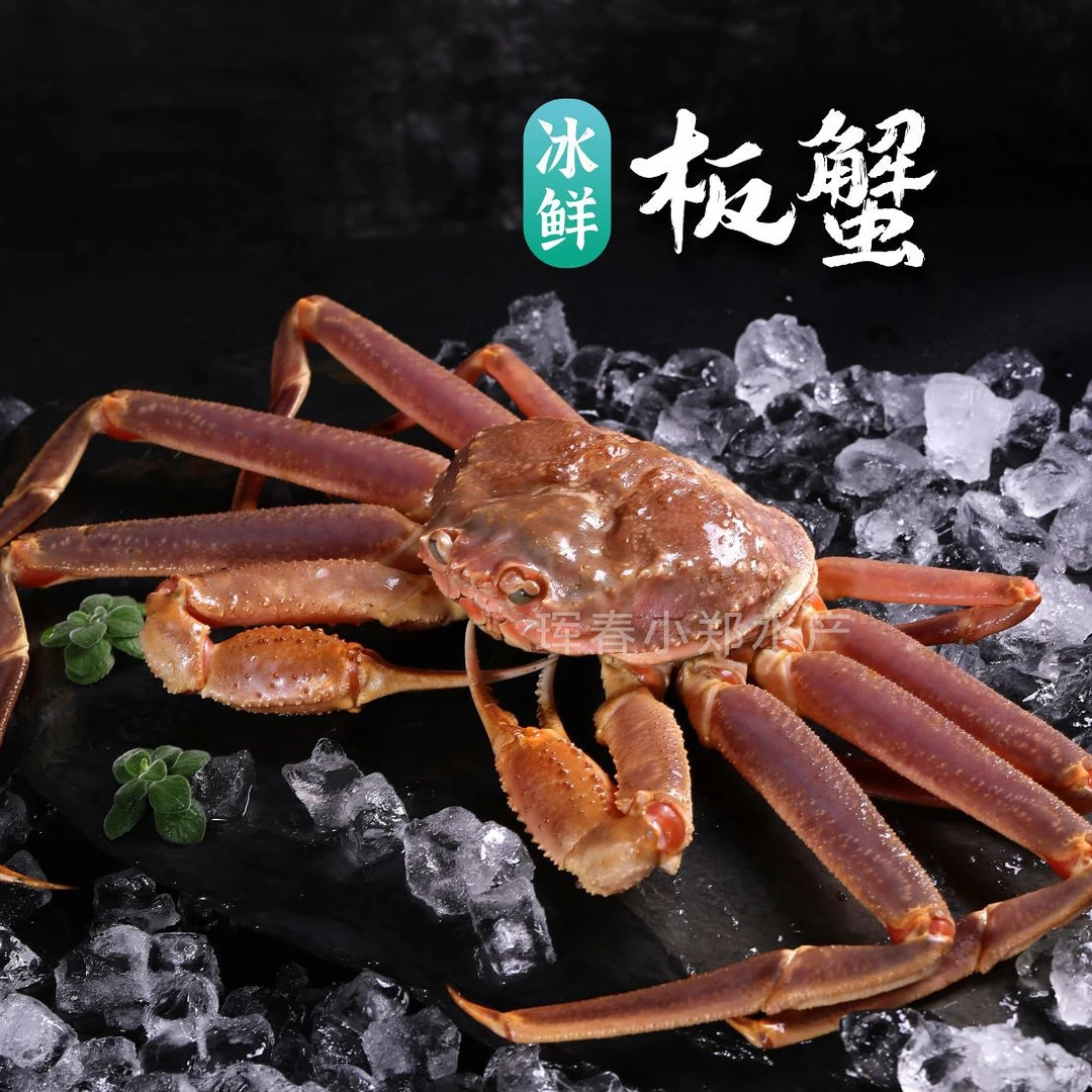 冰鲜弱板蟹/断氧板蟹 保鲜不保活 顺丰珲春发货 东三省包邮