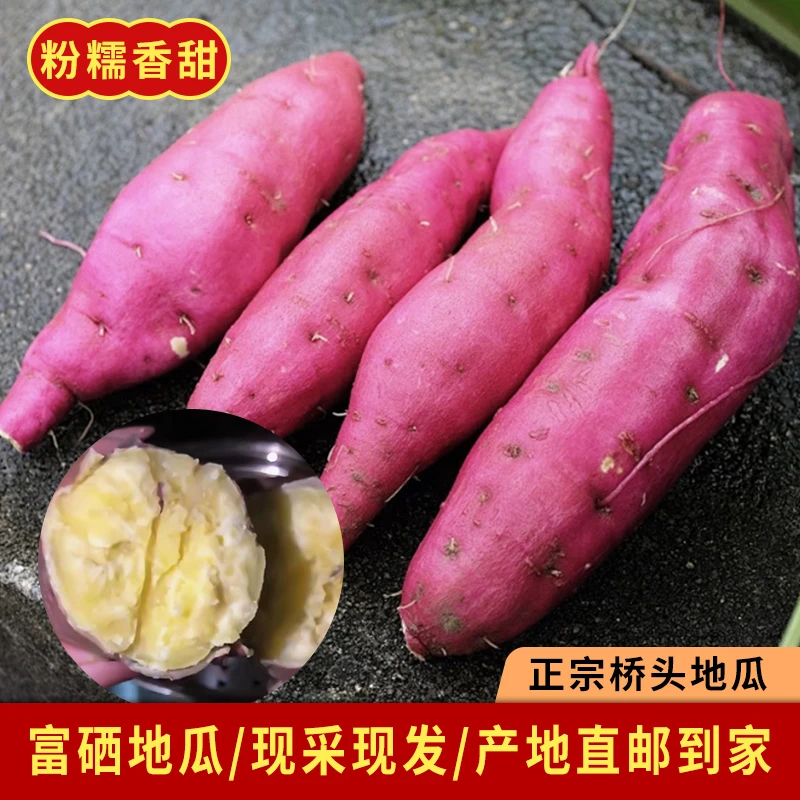 正宗海南澄迈桥头富硒精品果地瓜皮薄署红薯优品稀软香甜美味健康