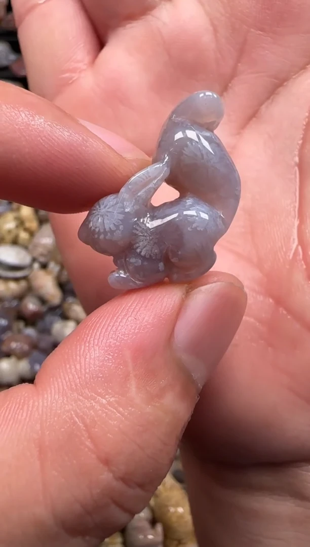 【闪购商品】硅化珊瑚（珊瑚玉）颈饰未镶嵌223