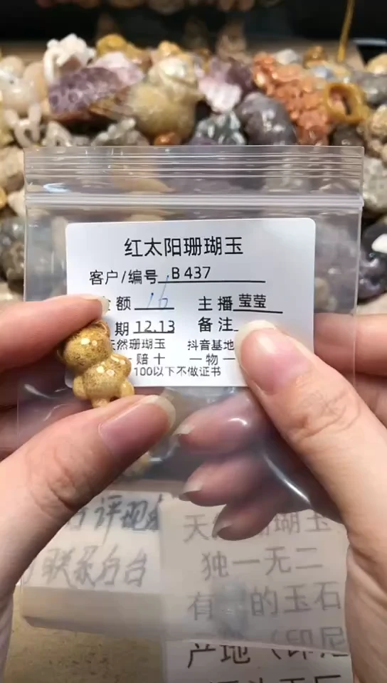 【闪购商品】硅化珊瑚（珊瑚玉）颈饰未镶嵌437