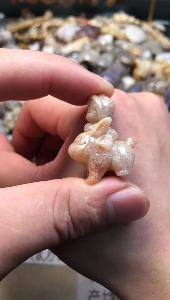 【闪购商品】硅化珊瑚（珊瑚玉）颈饰未镶嵌645