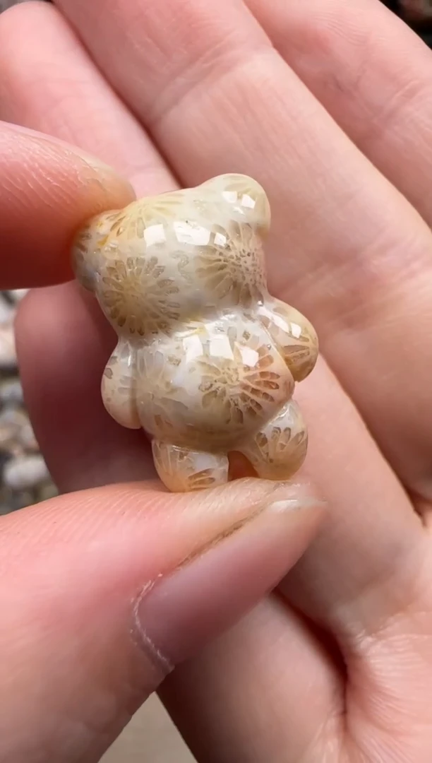 【闪购商品】硅化珊瑚（珊瑚玉）颈饰未镶嵌366