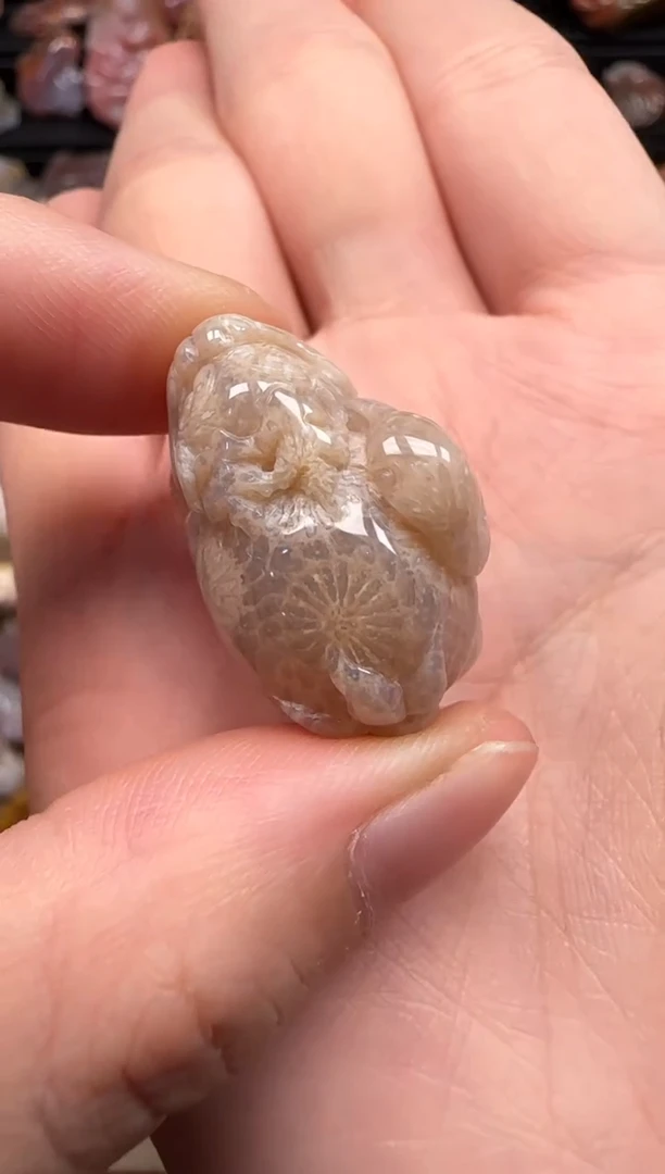 【闪购商品】硅化珊瑚（珊瑚玉）颈饰未镶嵌019