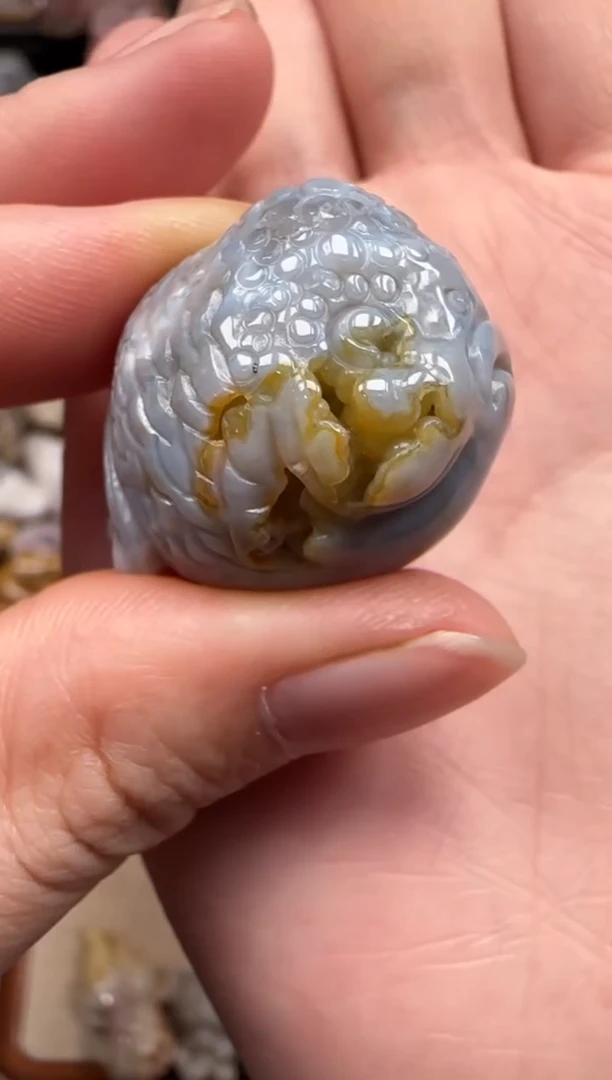 【闪购商品】硅化珊瑚（珊瑚玉）颈饰未镶嵌457