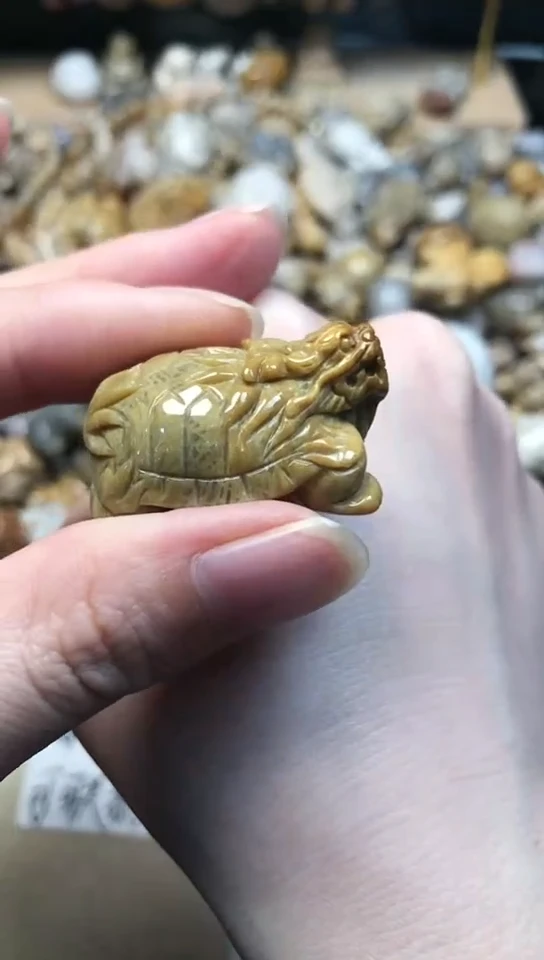 【闪购商品】硅化珊瑚（珊瑚玉）颈饰未镶嵌936