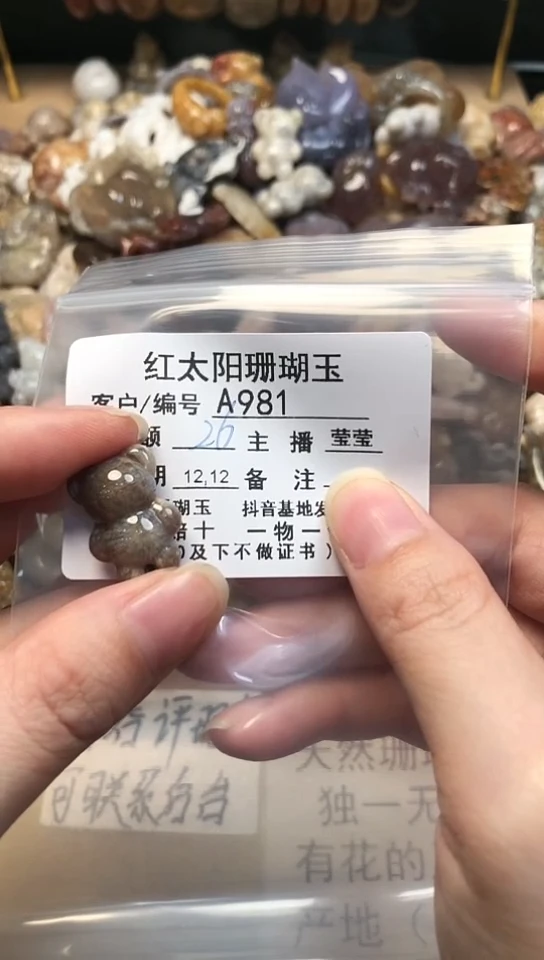 【闪购商品】硅化珊瑚（珊瑚玉）颈饰未镶嵌981