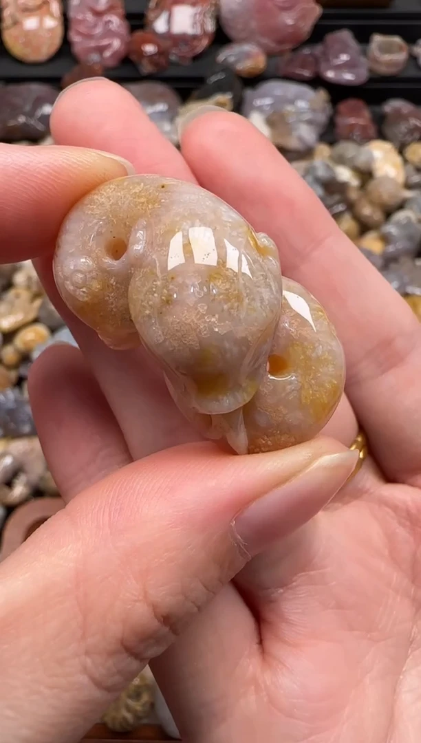 【闪购商品】硅化珊瑚（珊瑚玉）颈饰未镶嵌589