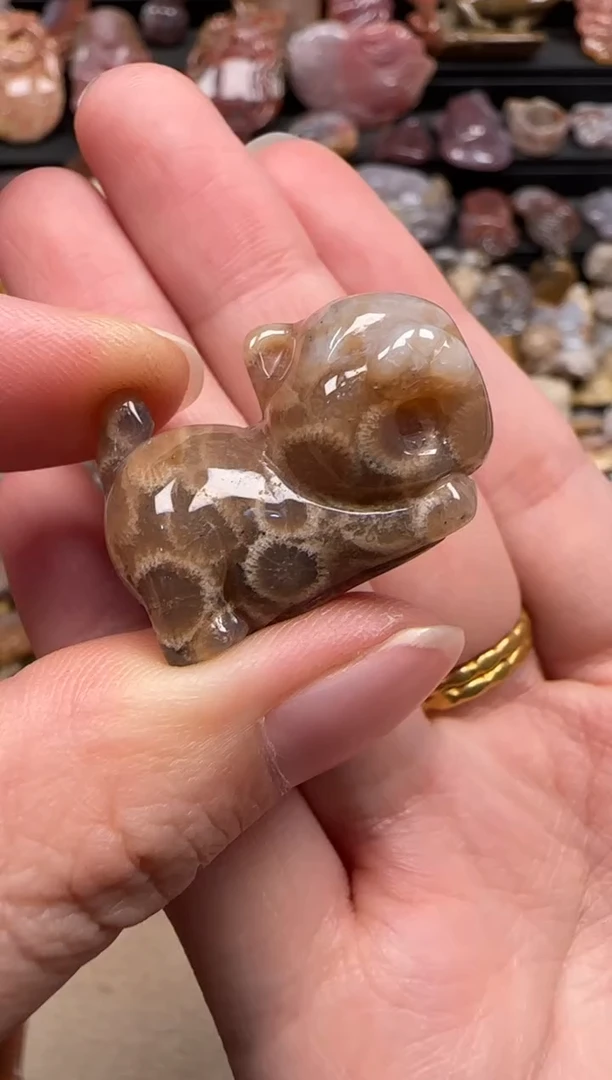 【闪购商品】硅化珊瑚（珊瑚玉）颈饰未镶嵌792