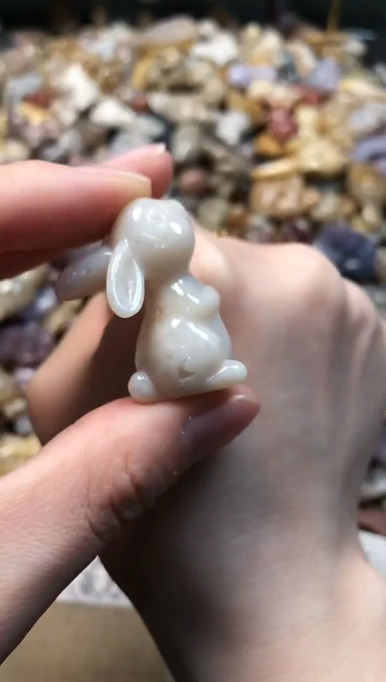 【闪购商品】硅化珊瑚（珊瑚玉）颈饰未镶嵌131