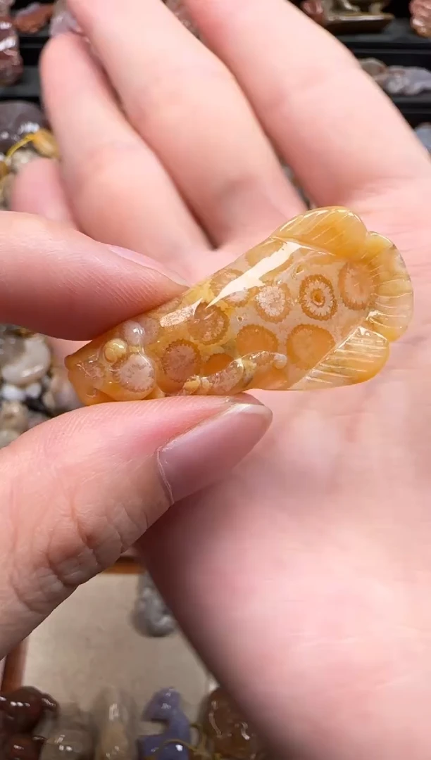 【闪购商品】硅化珊瑚（珊瑚玉）颈饰未镶嵌666