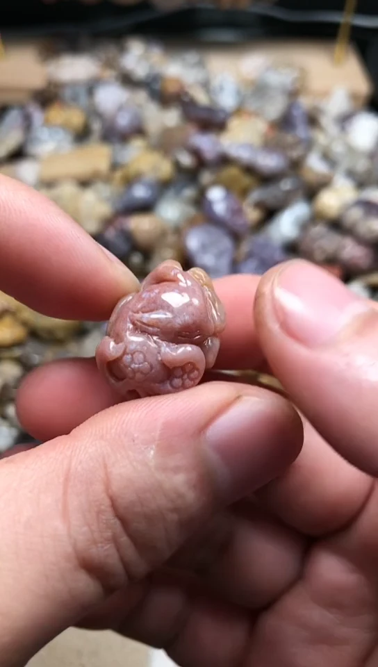 【闪购商品】硅化珊瑚（珊瑚玉）颈饰未镶嵌452