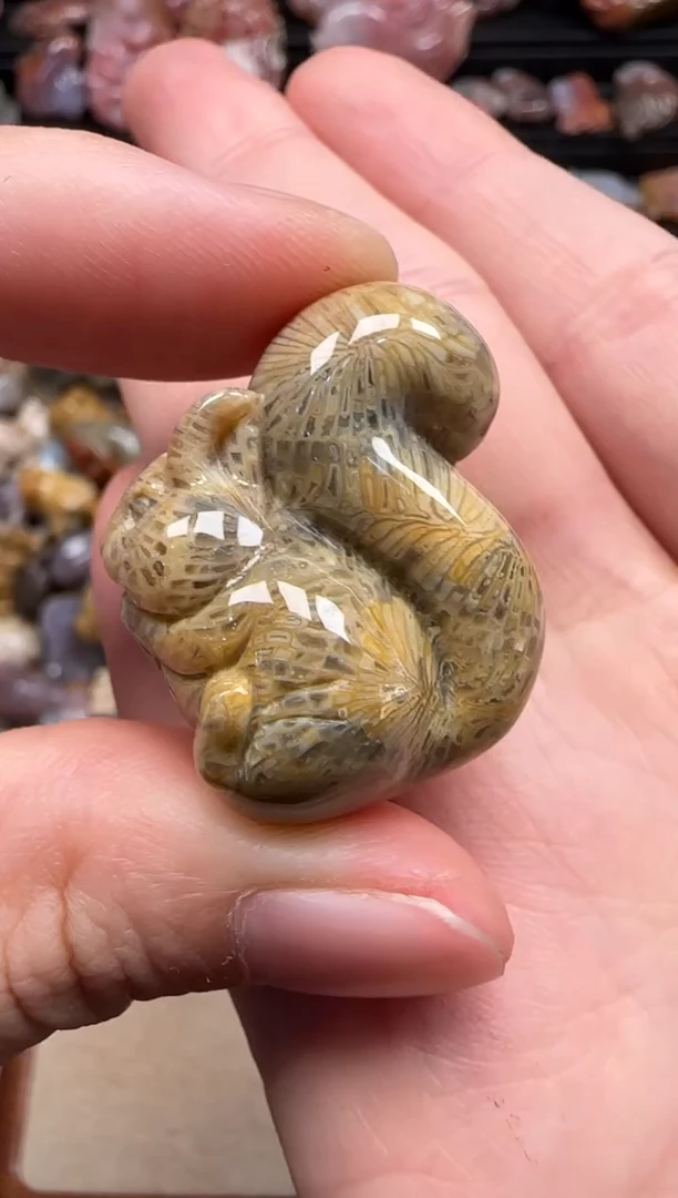 【闪购商品】硅化珊瑚（珊瑚玉）颈饰未镶嵌088