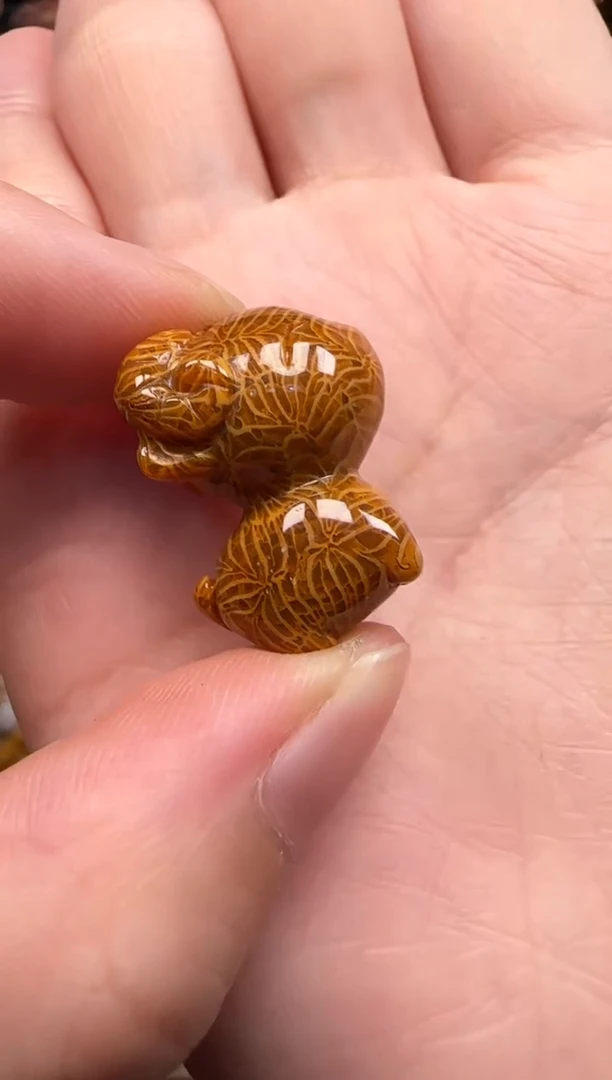 【闪购商品】硅化珊瑚（珊瑚玉）颈饰未镶嵌797