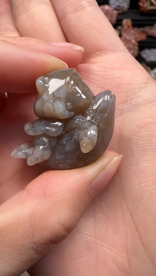 【闪购商品】硅化珊瑚（珊瑚玉）颈饰未镶嵌299