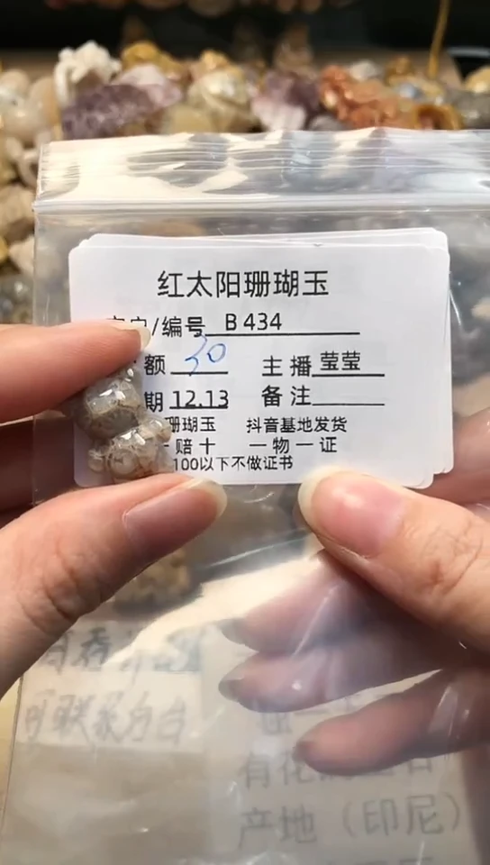 【闪购商品】硅化珊瑚（珊瑚玉）颈饰未镶嵌434