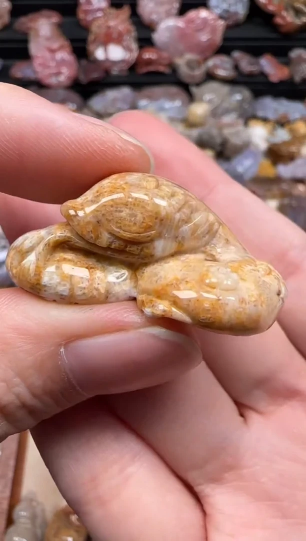 【闪购商品】硅化珊瑚（珊瑚玉）颈饰未镶嵌111