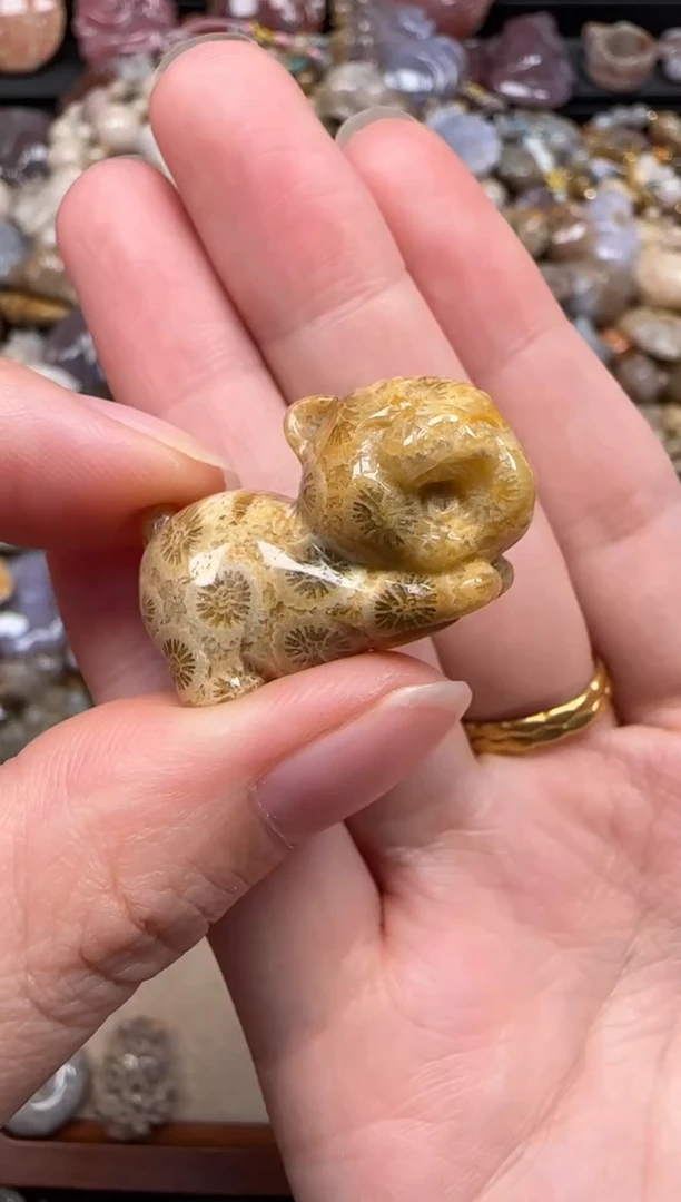 【闪购商品】硅化珊瑚（珊瑚玉）颈饰未镶嵌410