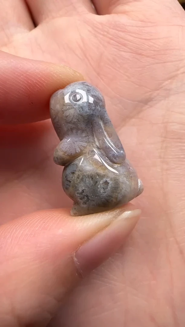 【闪购商品】硅化珊瑚（珊瑚玉）颈饰未镶嵌436