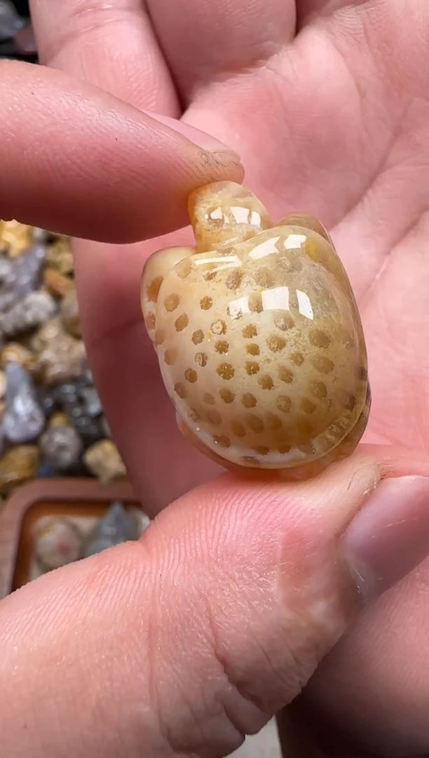 【闪购商品】硅化珊瑚（珊瑚玉）颈饰未镶嵌236