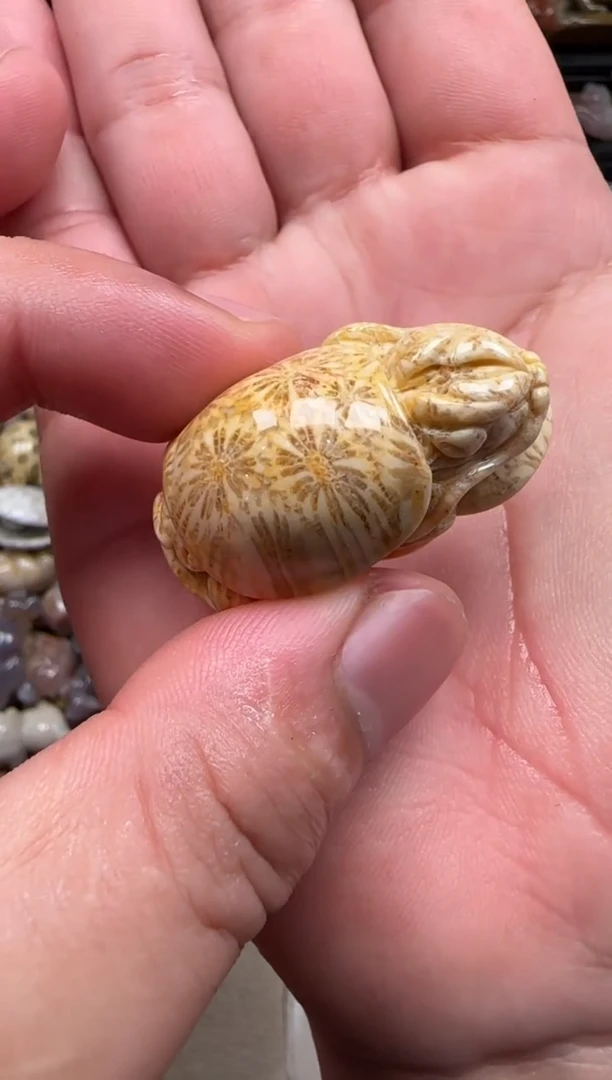 【闪购商品】硅化珊瑚（珊瑚玉）颈饰未镶嵌236