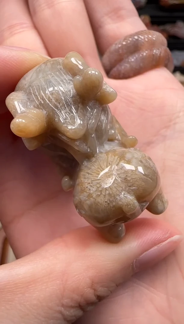 【闪购商品】硅化珊瑚（珊瑚玉）颈饰未镶嵌690