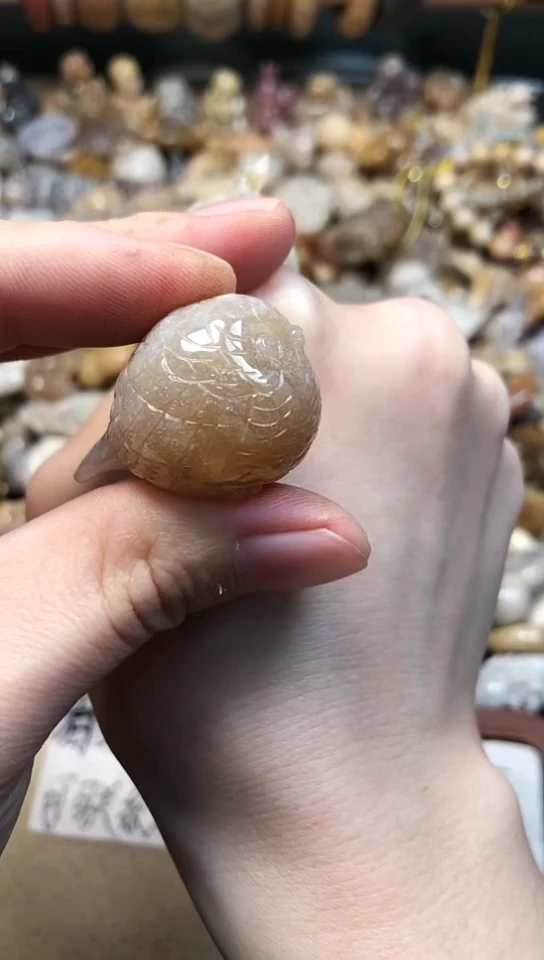 【闪购商品】硅化珊瑚（珊瑚玉）颈饰未镶嵌219