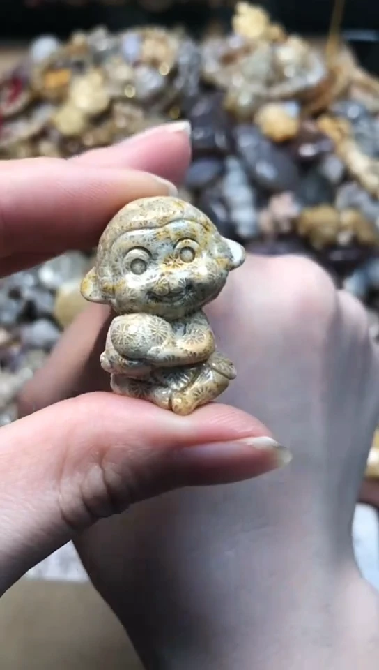 【闪购商品】硅化珊瑚（珊瑚玉）颈饰未镶嵌548