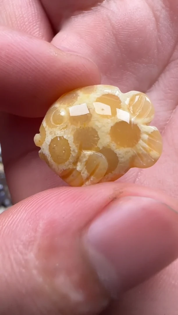 【闪购商品】硅化珊瑚（珊瑚玉）颈饰未镶嵌247