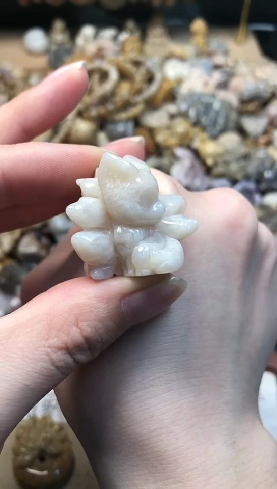 【闪购商品】硅化珊瑚（珊瑚玉）颈饰未镶嵌675