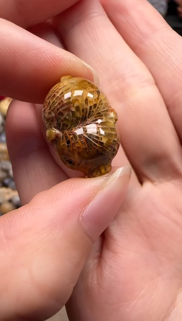 【闪购商品】硅化珊瑚（珊瑚玉）颈饰未镶嵌010