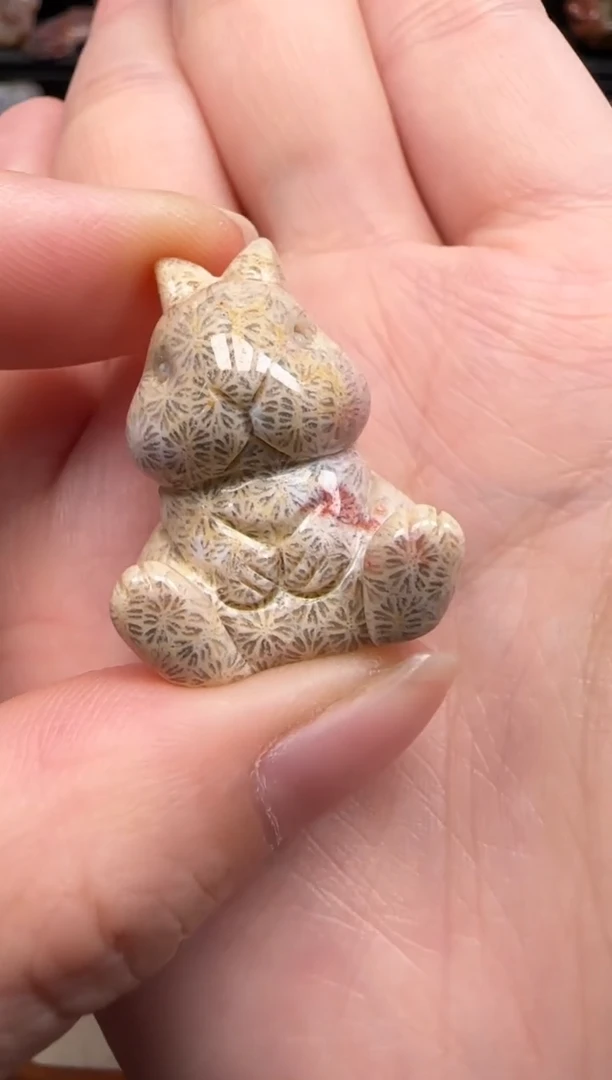 【闪购商品】硅化珊瑚（珊瑚玉）颈饰未镶嵌328