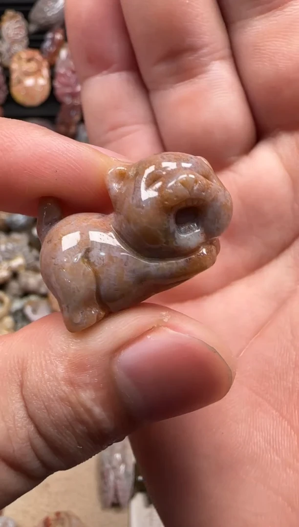 【闪购商品】硅化珊瑚（珊瑚玉）颈饰未镶嵌666