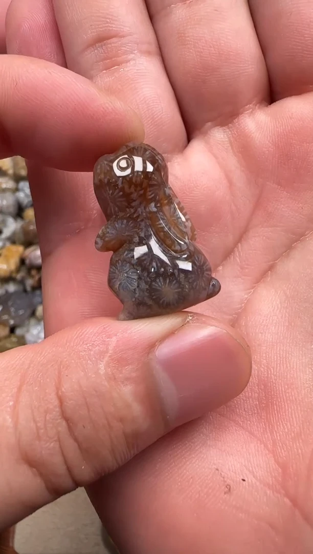 【闪购商品】硅化珊瑚（珊瑚玉）颈饰未镶嵌534