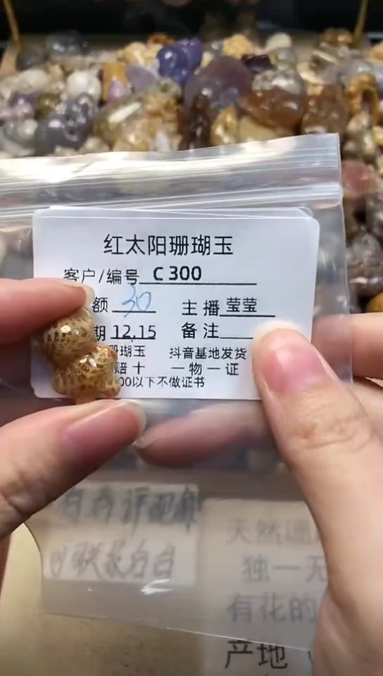 【闪购商品】硅化珊瑚（珊瑚玉）颈饰未镶嵌300