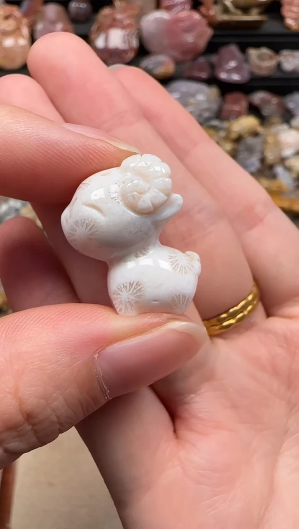 【闪购商品】硅化珊瑚（珊瑚玉）颈饰未镶嵌783