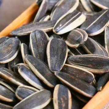 【坚果】爆款青花瓜子约250g