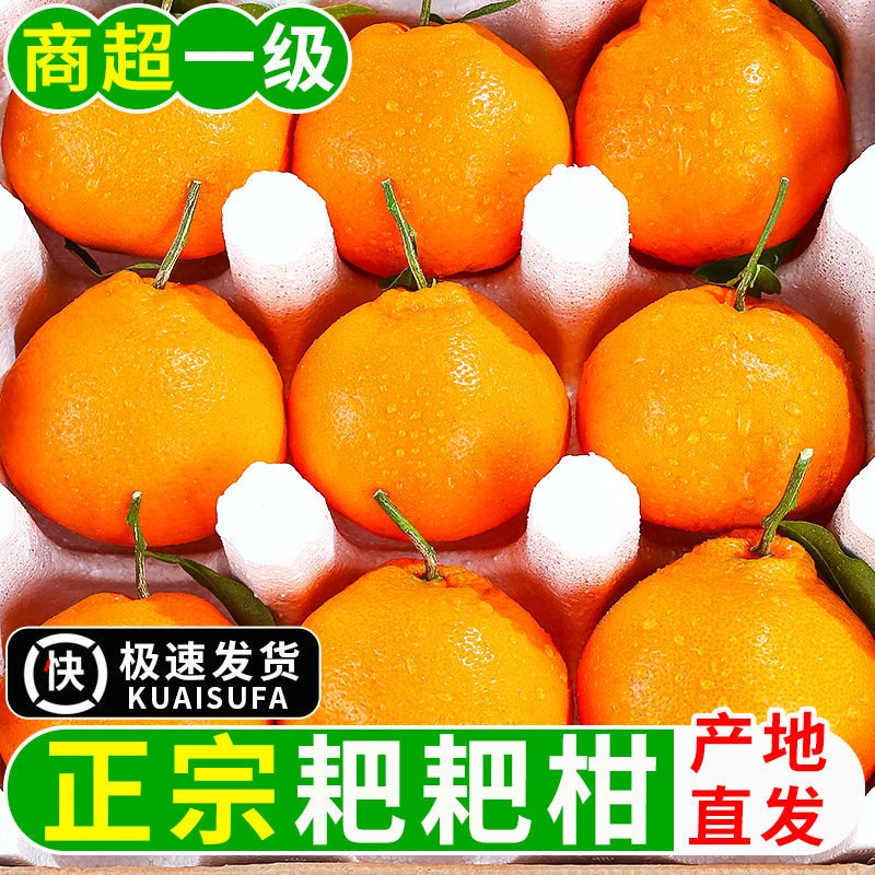 香甜爆汁春见耙耙柑彩箱水果四川天然柑橘桔现摘现发新鲜皮薄细嫩