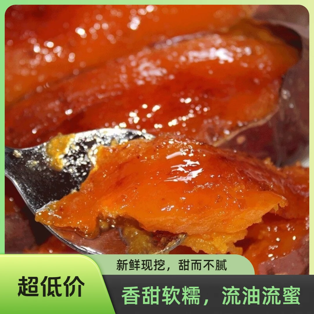 东北沙地烟薯蜜薯新鲜糖心流油烤地瓜烟薯沙地自种辽西王仗子蜜薯