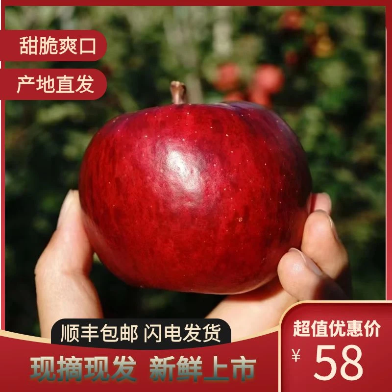 高原苹果香格里拉特产水果香甜多汁现摘优质农产品送礼（1600g）