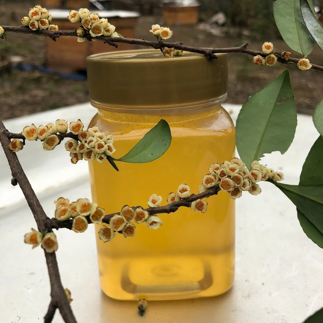 (春蜜)深山野桂花土蜂蜜1000g