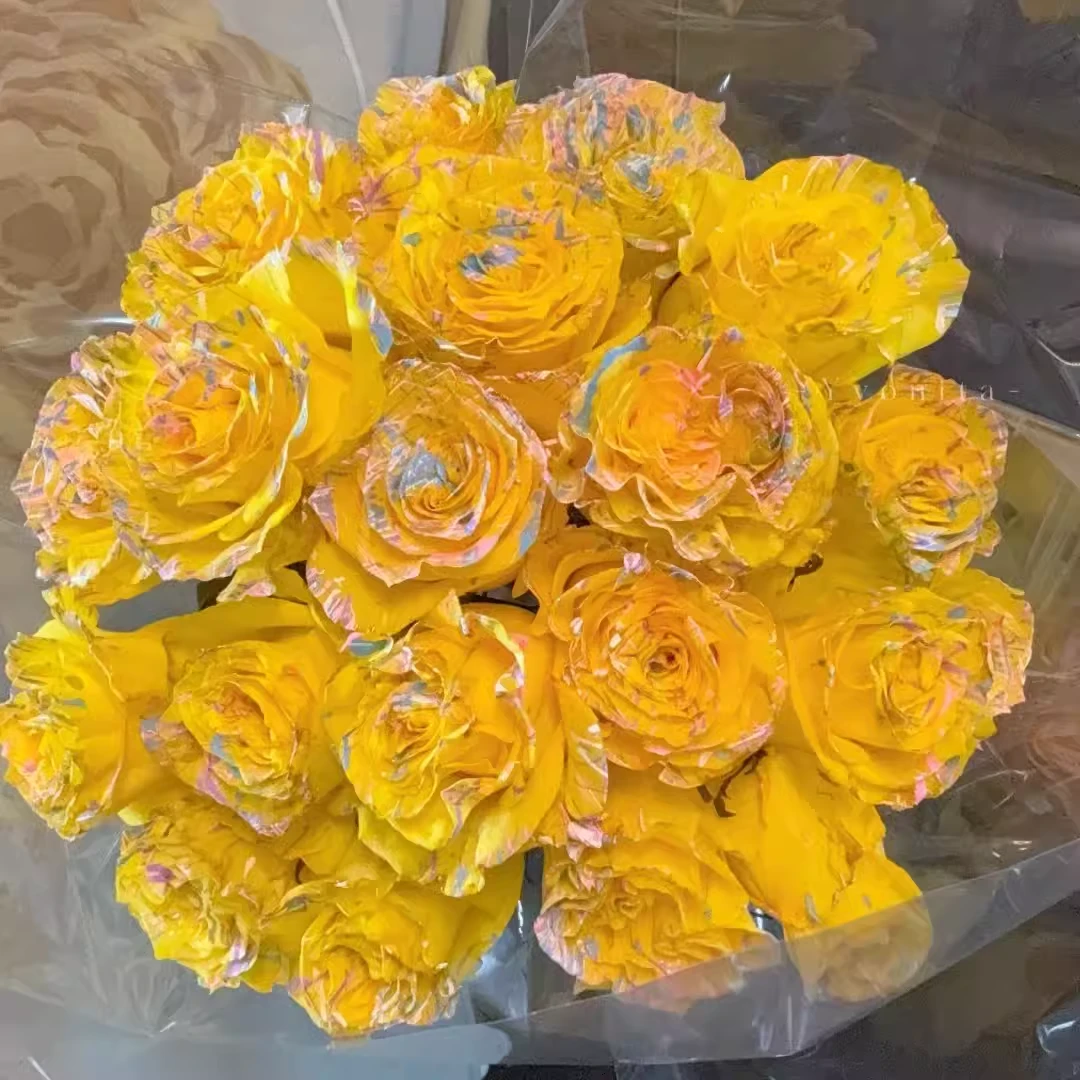 厄瓜多尔高端进口花材PICASSO YELLOW黄色毕加索染色玫瑰花10支