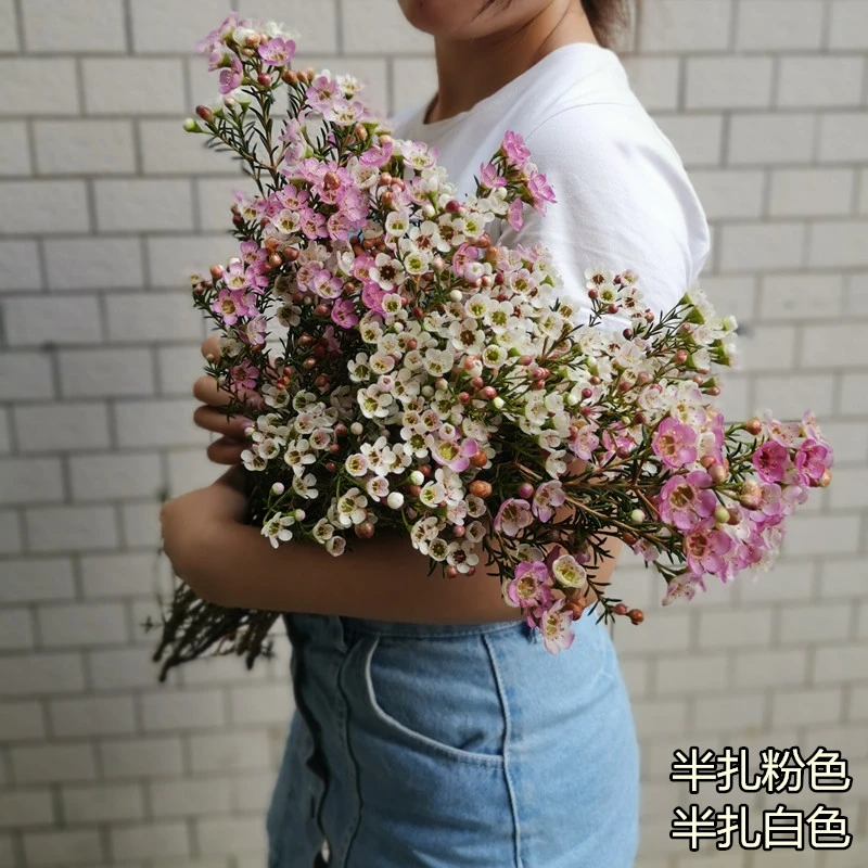 年宵花卉进口鲜花速递全国澳洲腊梅配花插花养花公司家庭用花期长