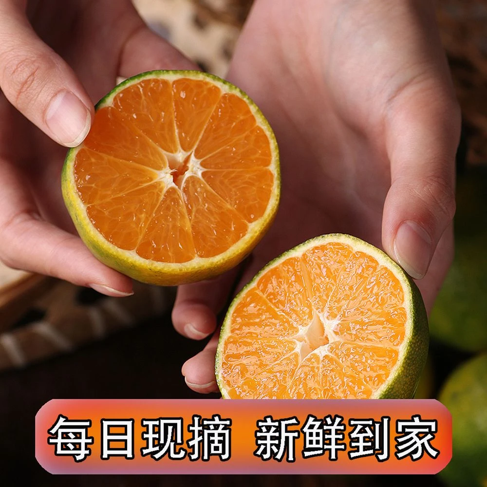 【超低价】湖北蜜桔青皮无籽薄皮现摘新鲜水果产地1/3/5/9斤包邮