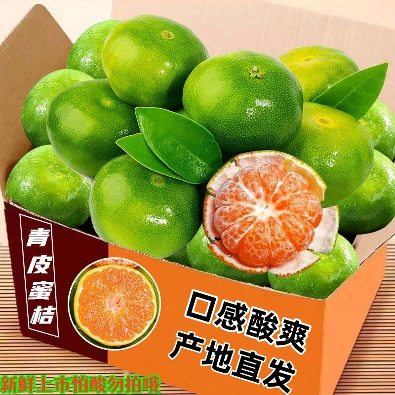 【超低价】湖北新鲜现摘青皮无仔蜜桔孕妇水果酸甜1/3/5/9斤包邮